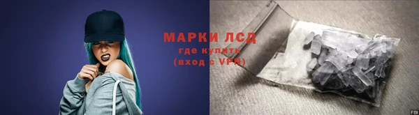 ПСИЛОЦИБИНОВЫЕ ГРИБЫ Арсеньев