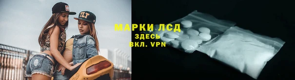 ПСИЛОЦИБИНОВЫЕ ГРИБЫ Арсеньев