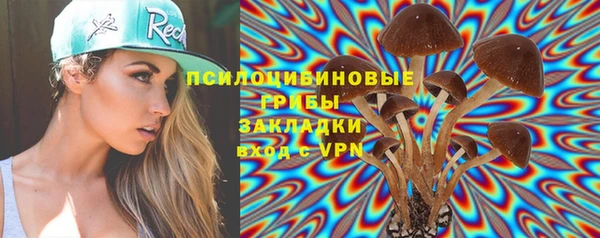 ПСИЛОЦИБИНОВЫЕ ГРИБЫ Арсеньев