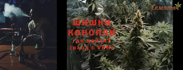 ПСИЛОЦИБИНОВЫЕ ГРИБЫ Арсеньев