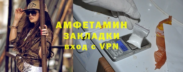 ПСИЛОЦИБИНОВЫЕ ГРИБЫ Арсеньев