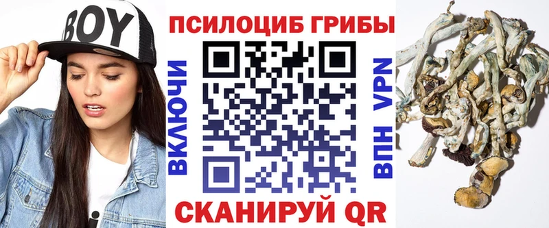 блэк спрут онион  Бугуруслан  Псилоцибиновые грибы ЛСД  даркнет клад  что такое  